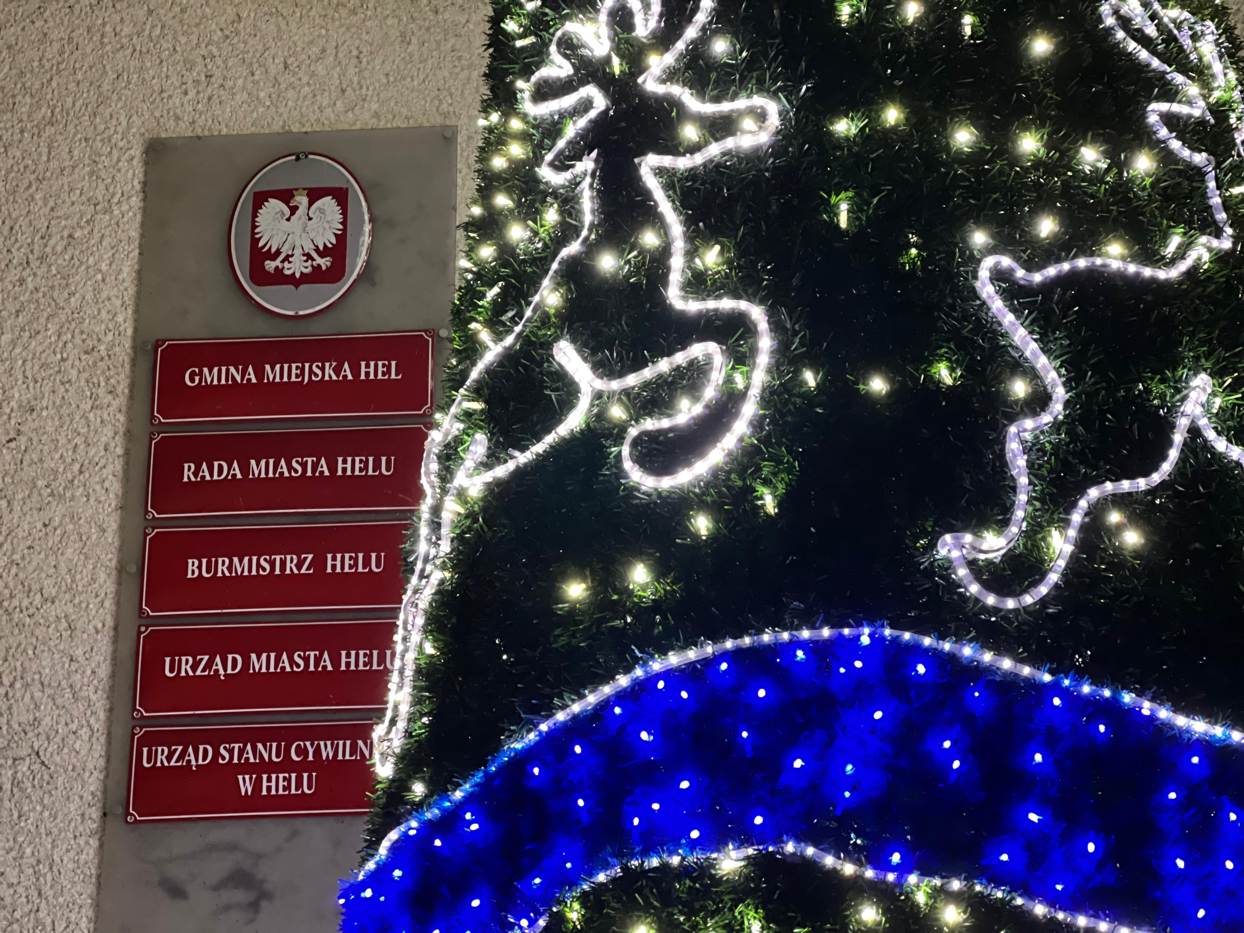 źródło: Twoja Telewizja Morska/fot. A. Pegani