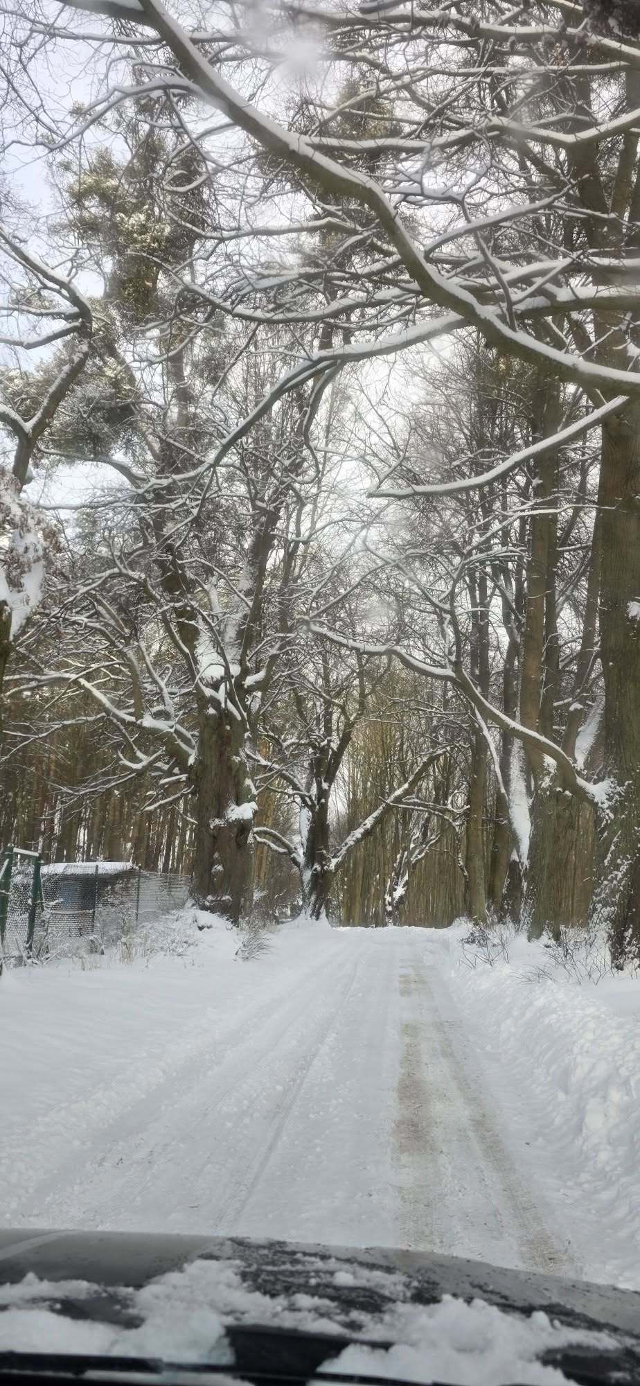 Zdjęcie: Agatka Agata