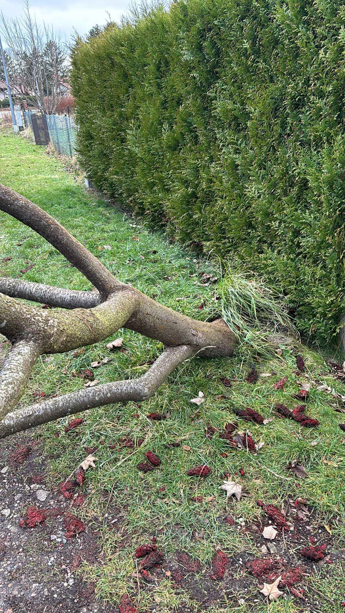 Foto: KP PSP Puck, OSP Jastrzębia Góra