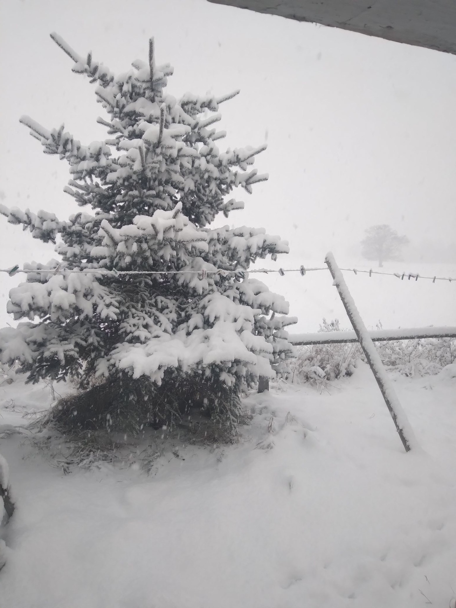 Kniewo fot. Danuta Rzeppa.jpg