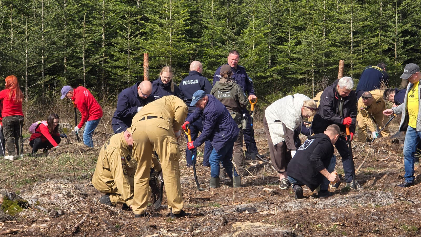 źródło: Twoja Telewizja Morska