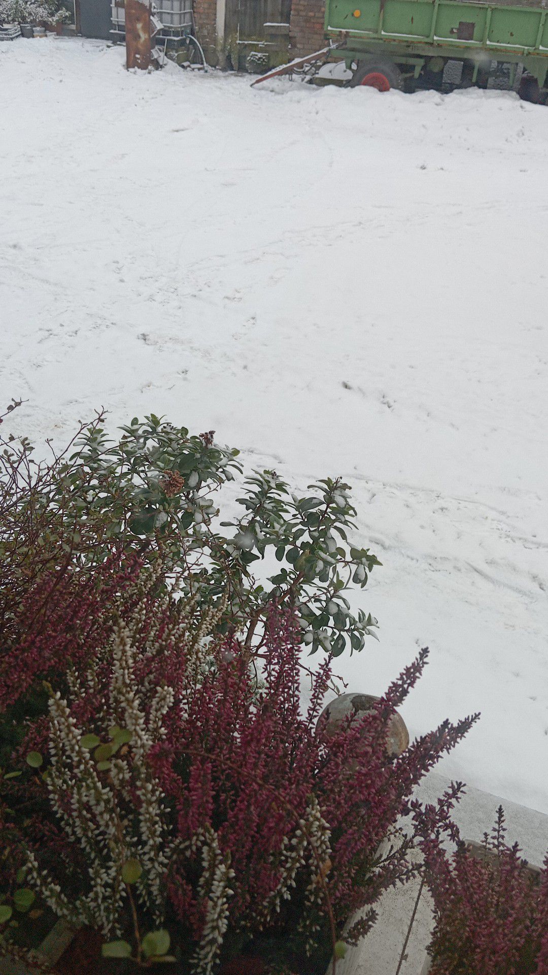 Żelistrzewo fot. Halina Szreder.jpg