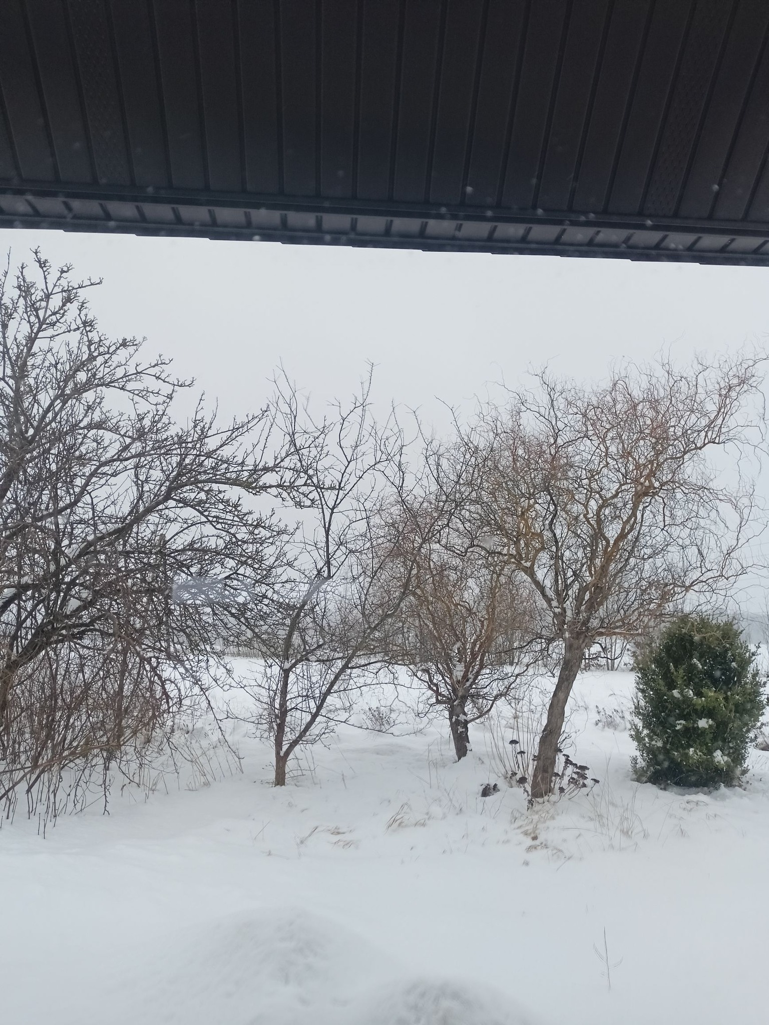 Głazica fot. Elżbieta Samson.jpg