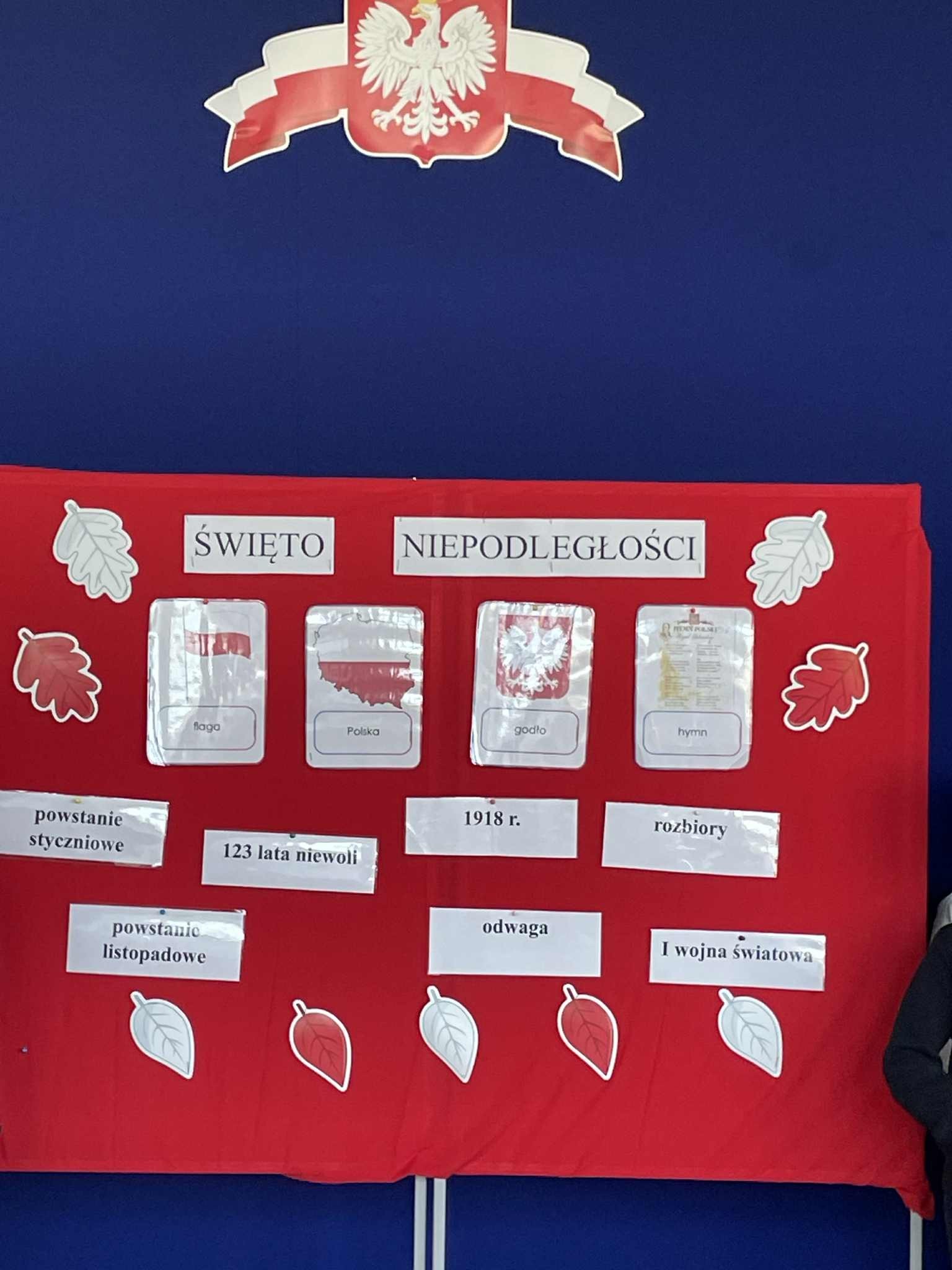 źródło: Szkoła Podstawowa w Bolszewie