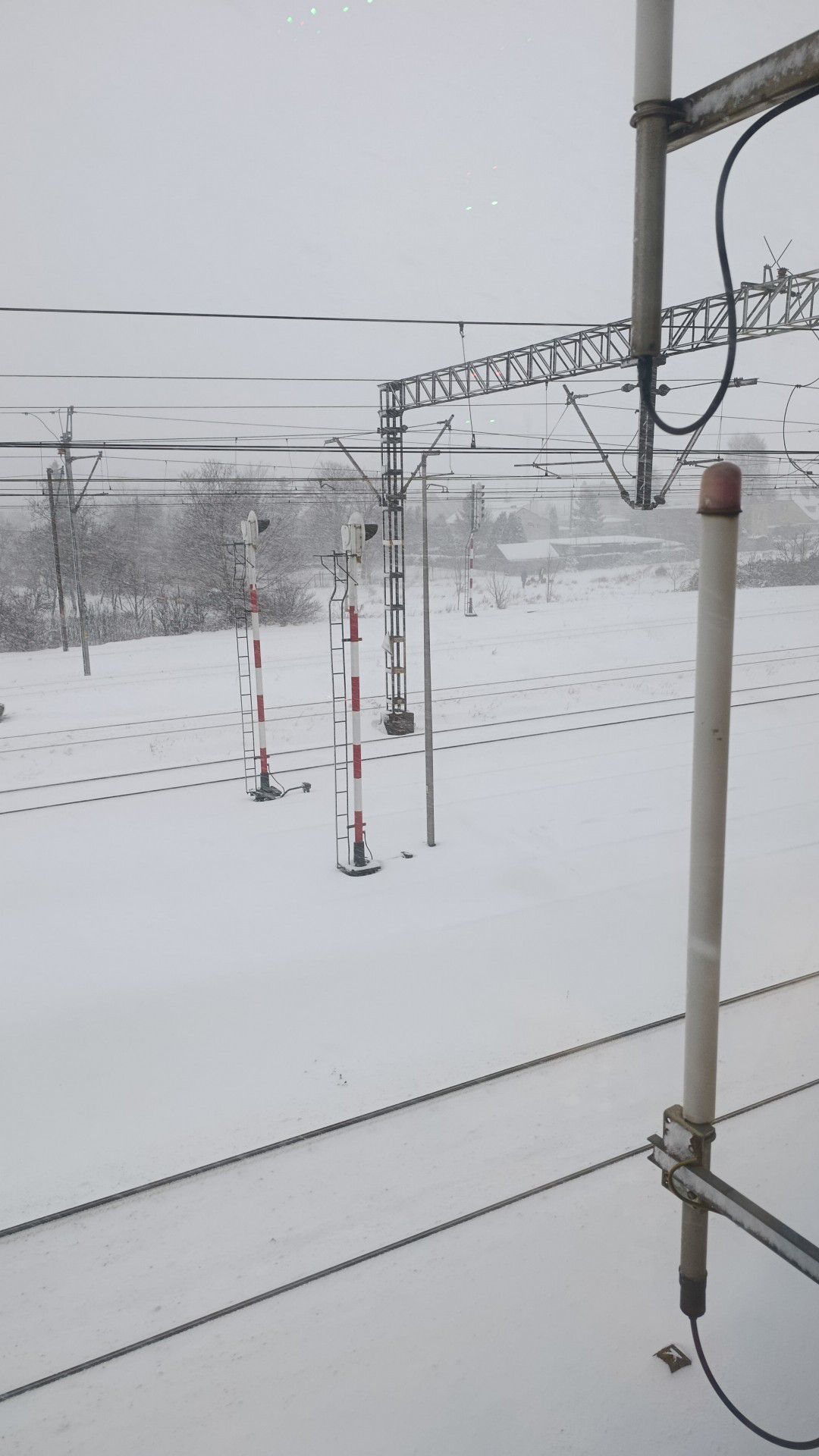 Zdjęcie: Bernadeta Smolińska