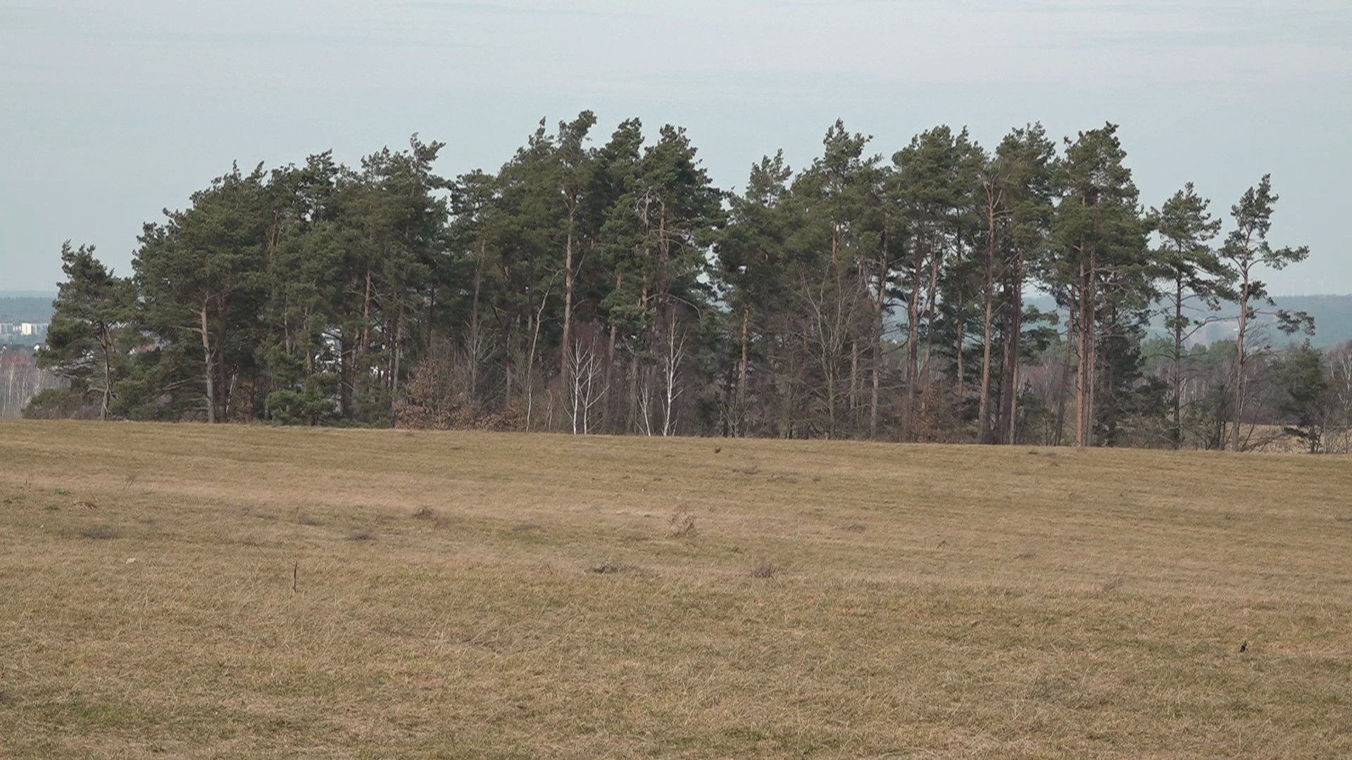 źródło: Twoja Telewizja Morska