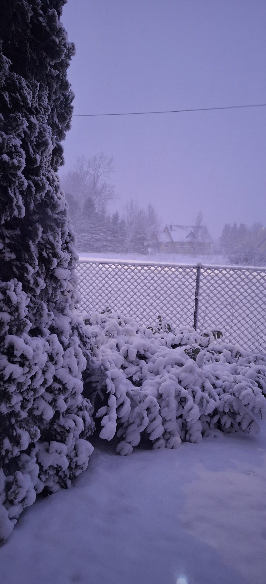 fot. Barbara Harnack.jpg