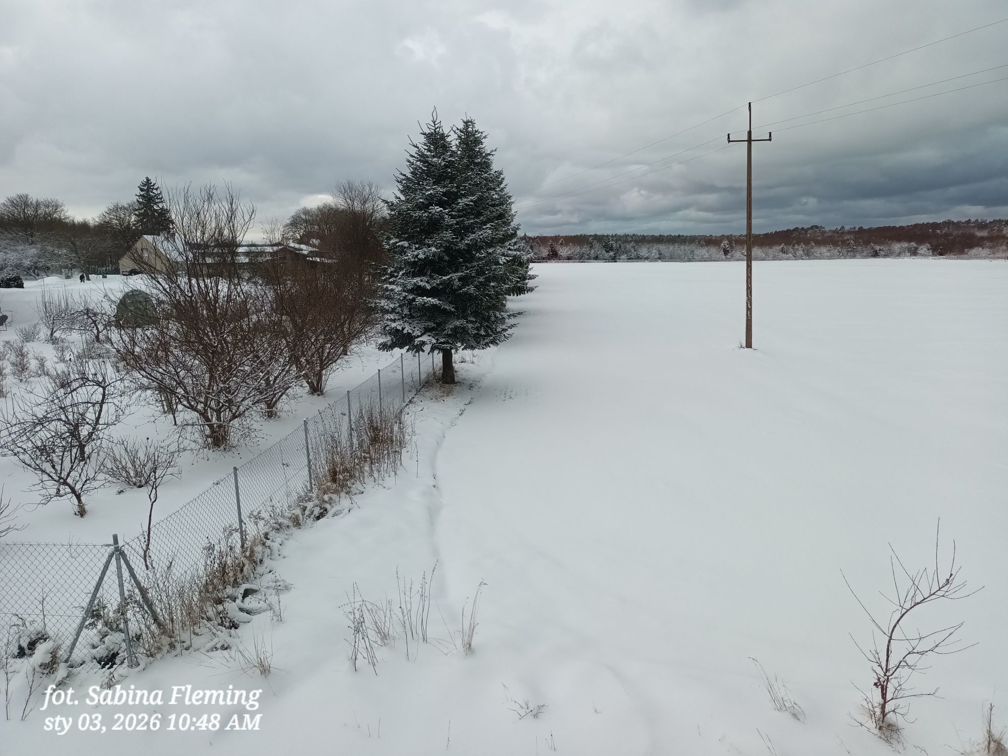 fot. Sabina Fleming.jpg