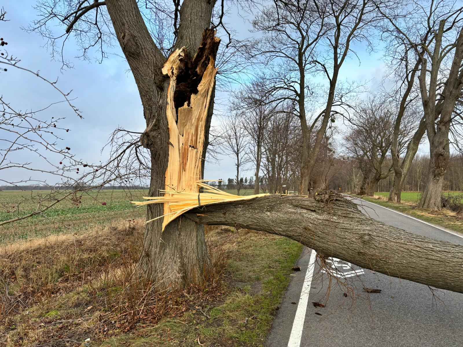 Foto: KP PSP Puck, OSP Jastrzębia Góra.jpg