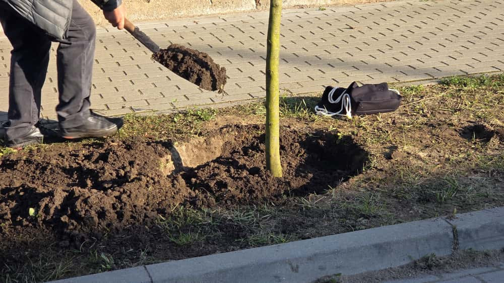 źródło: Twoja Telewizja Morska/fot. Jakub Szumilas