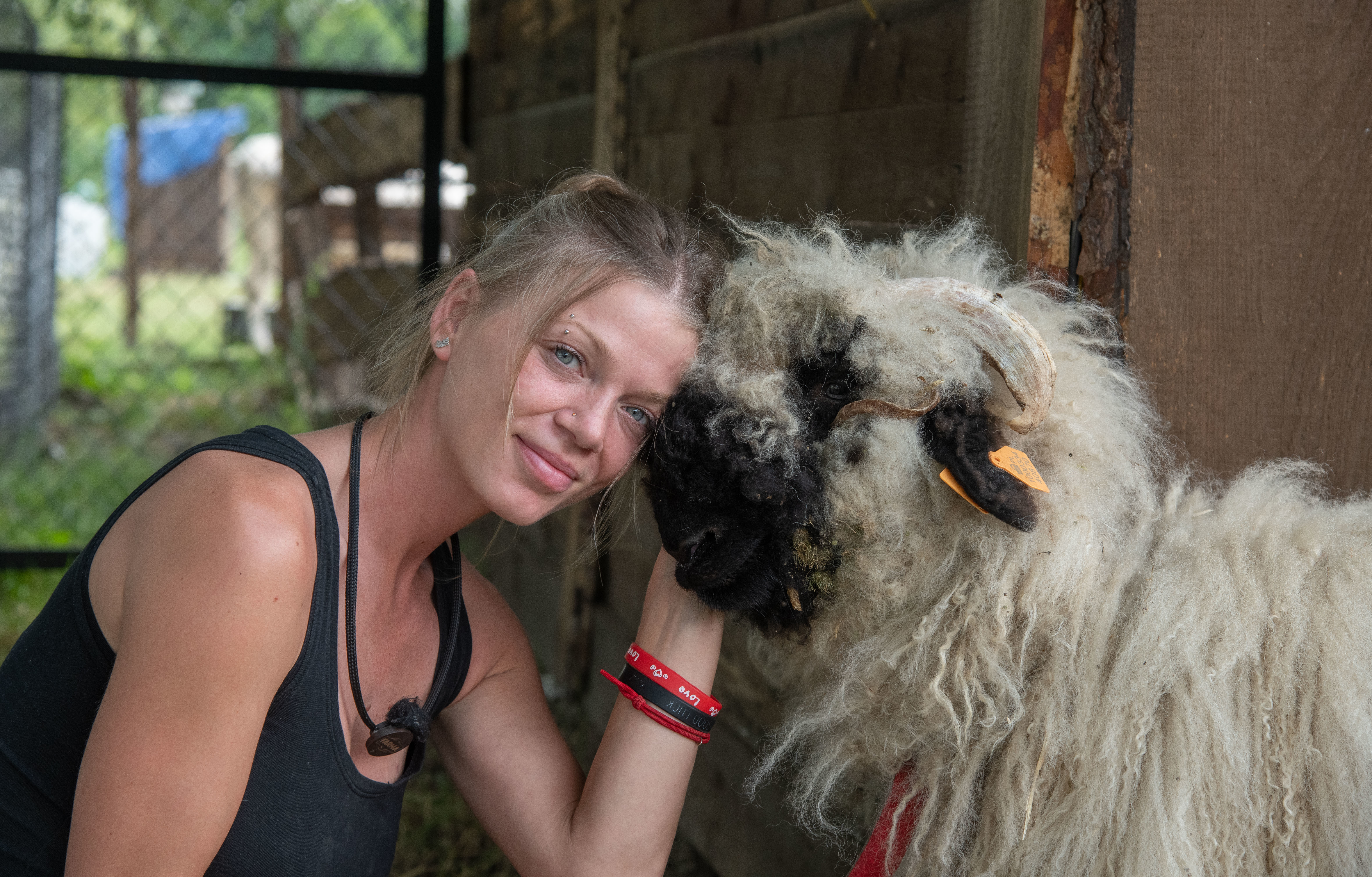 źródło: mat. pras.