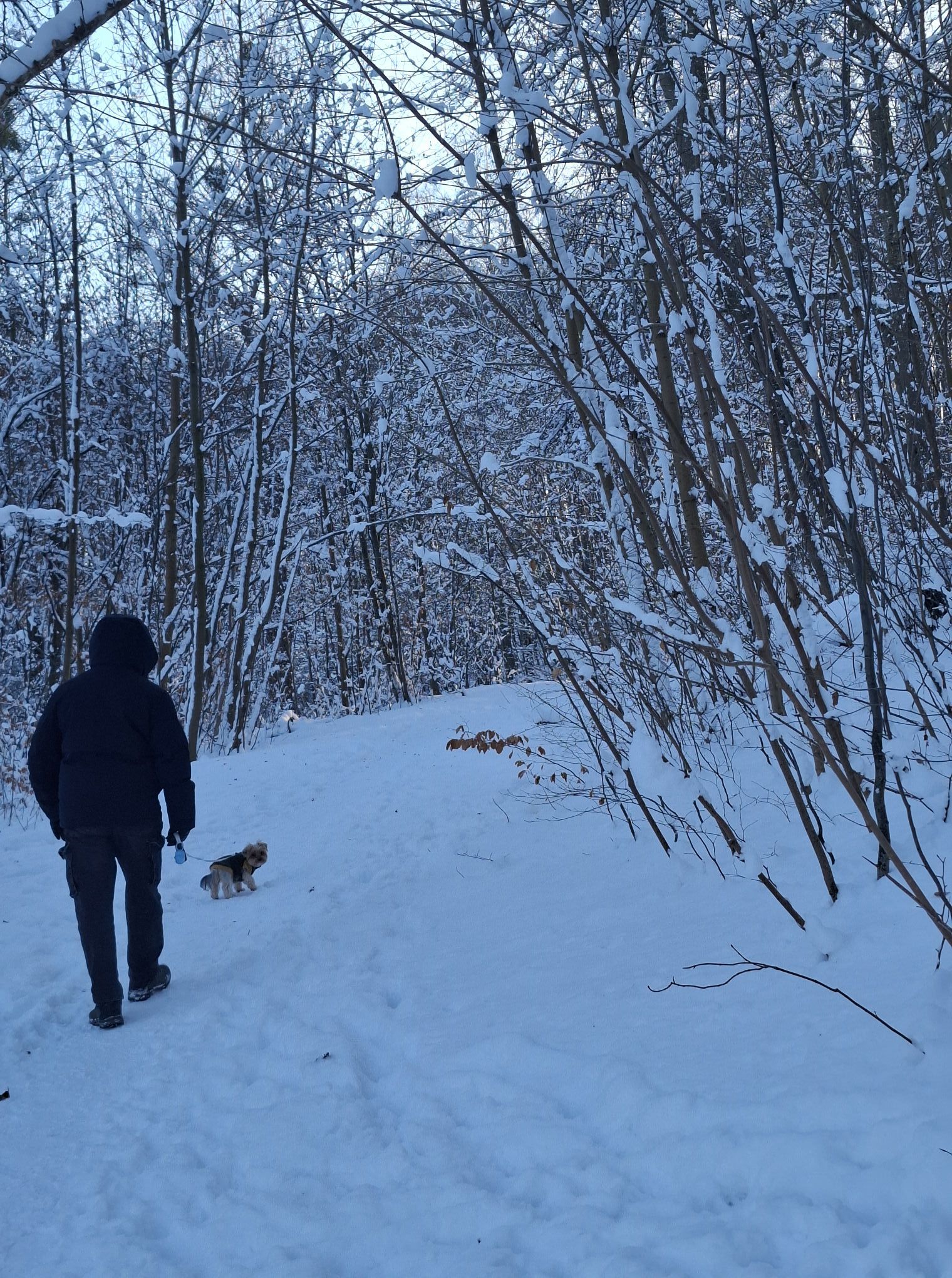 Zdjęcie: Iza Korsaj