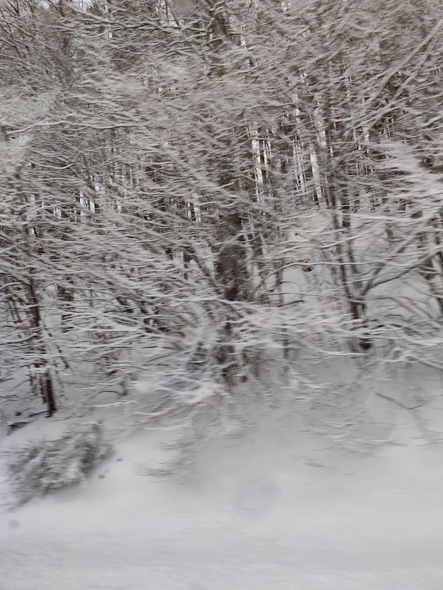 Zdjęcie: Joanna Tiszer