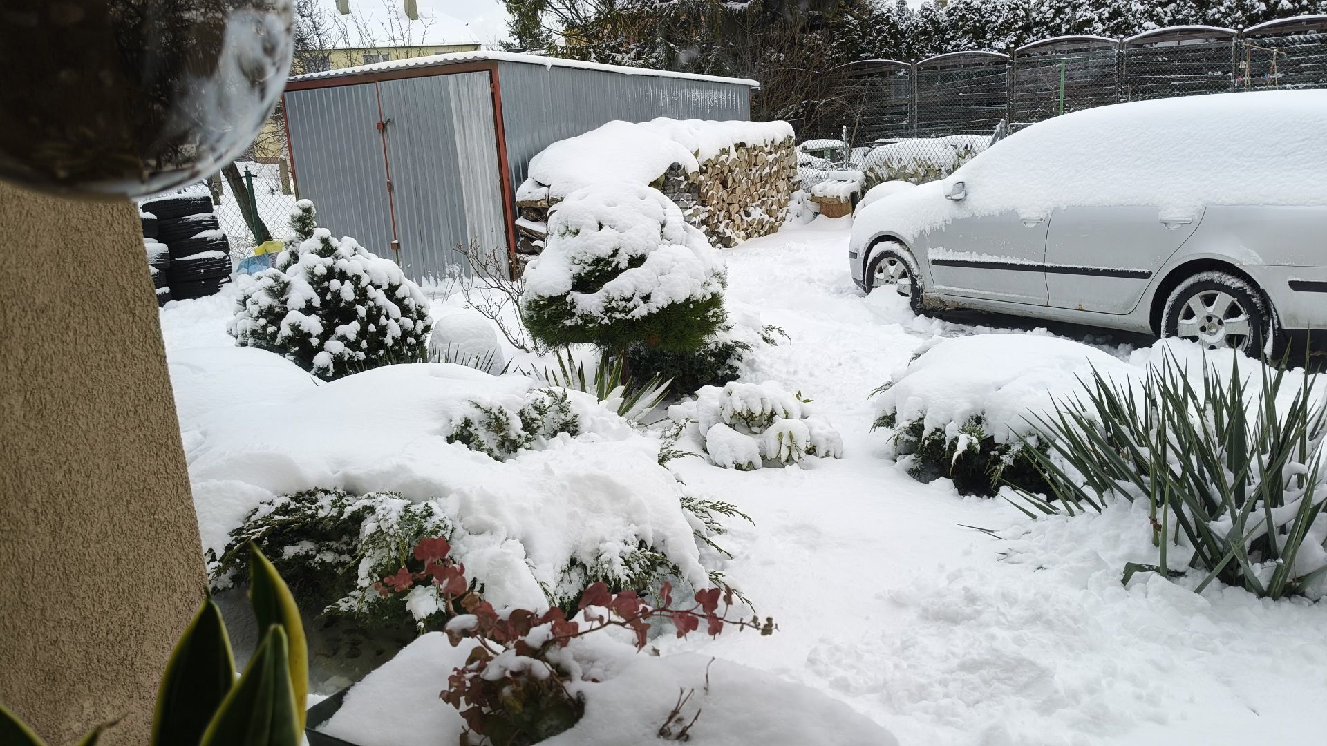 Zdjęcie: Tomasz Kreft