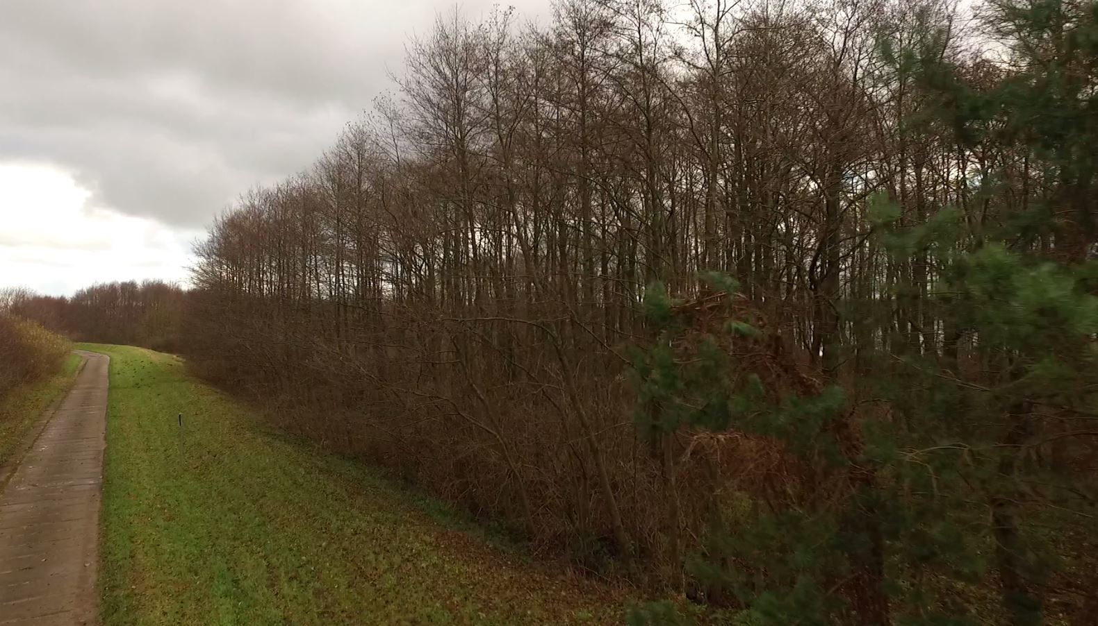 źródło: telewizjattm.pl