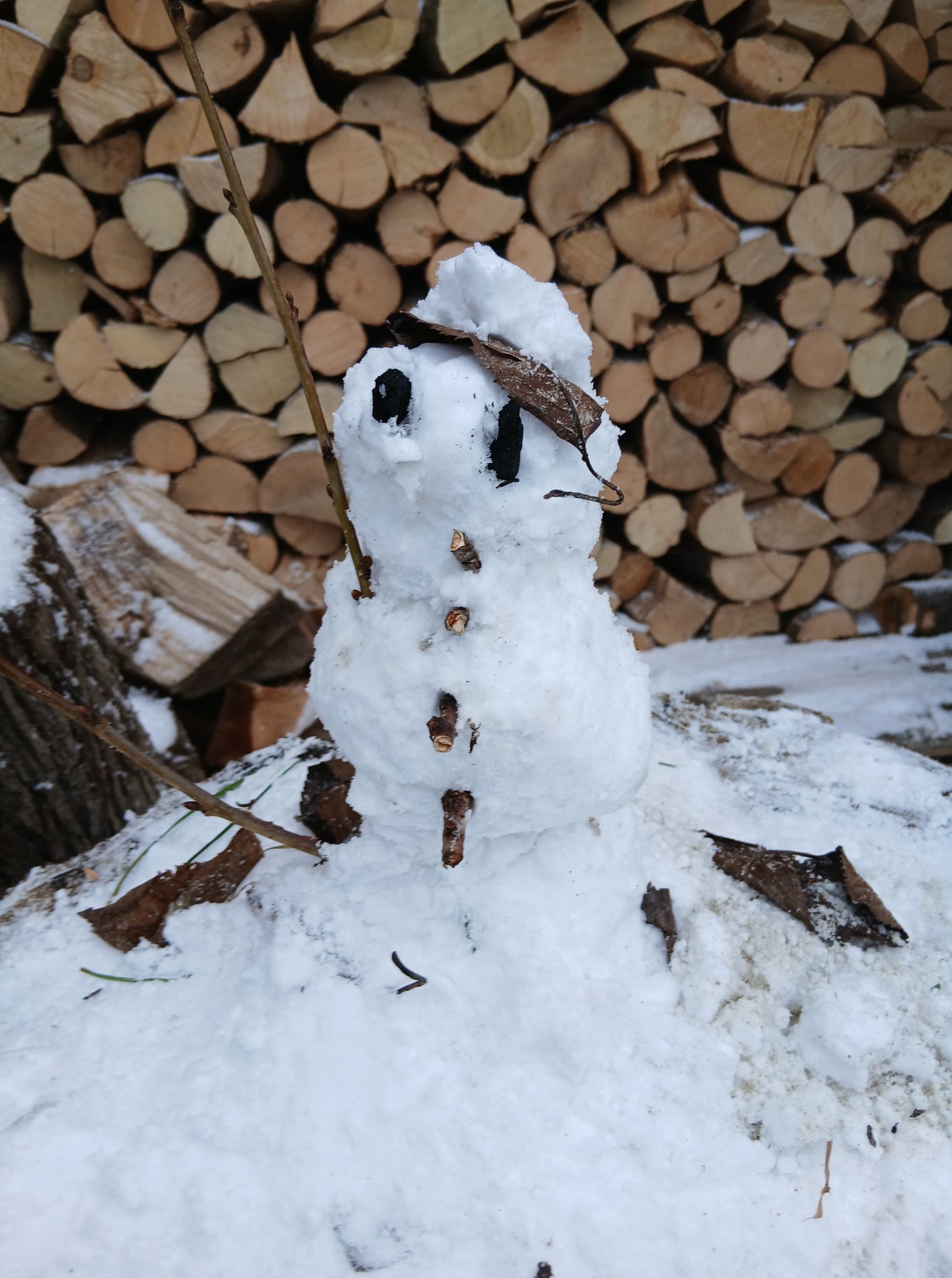 Nr 10/fot. Ania Paszke 2.jpg