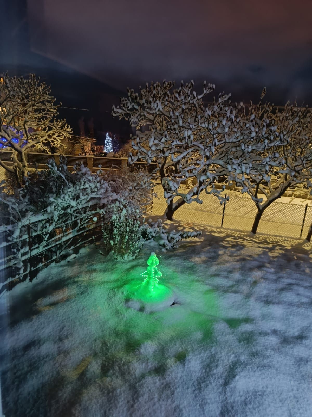 fot. Sylwia Błasz.jpg