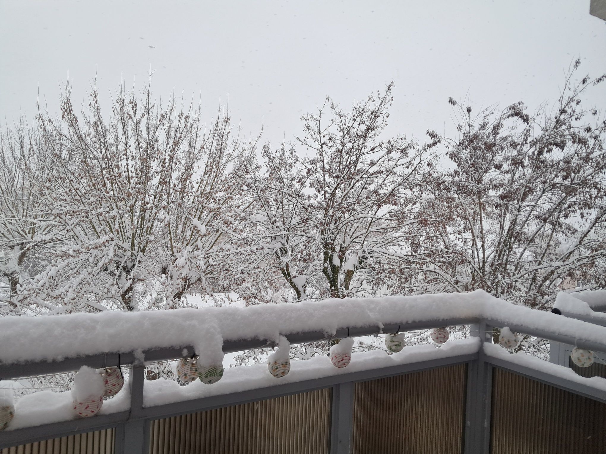 Zdjęcie: Maria Orl-a