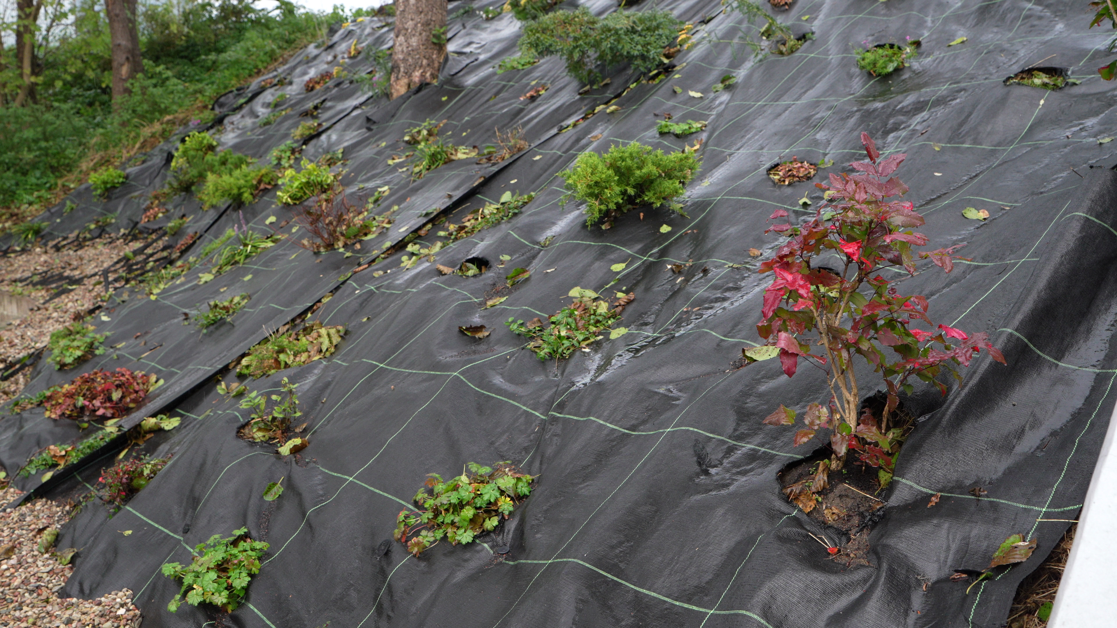 źródło: Twoja Telewizja Morska