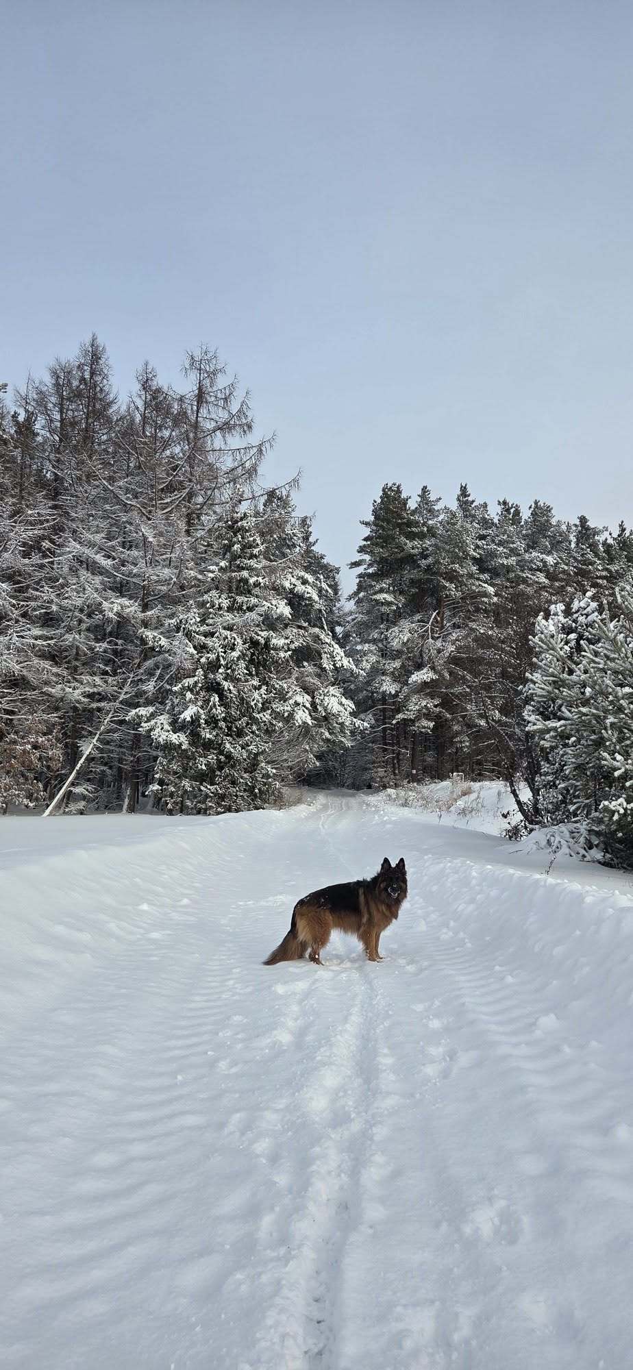 Zdjęcie: Ewelina Gorzynska