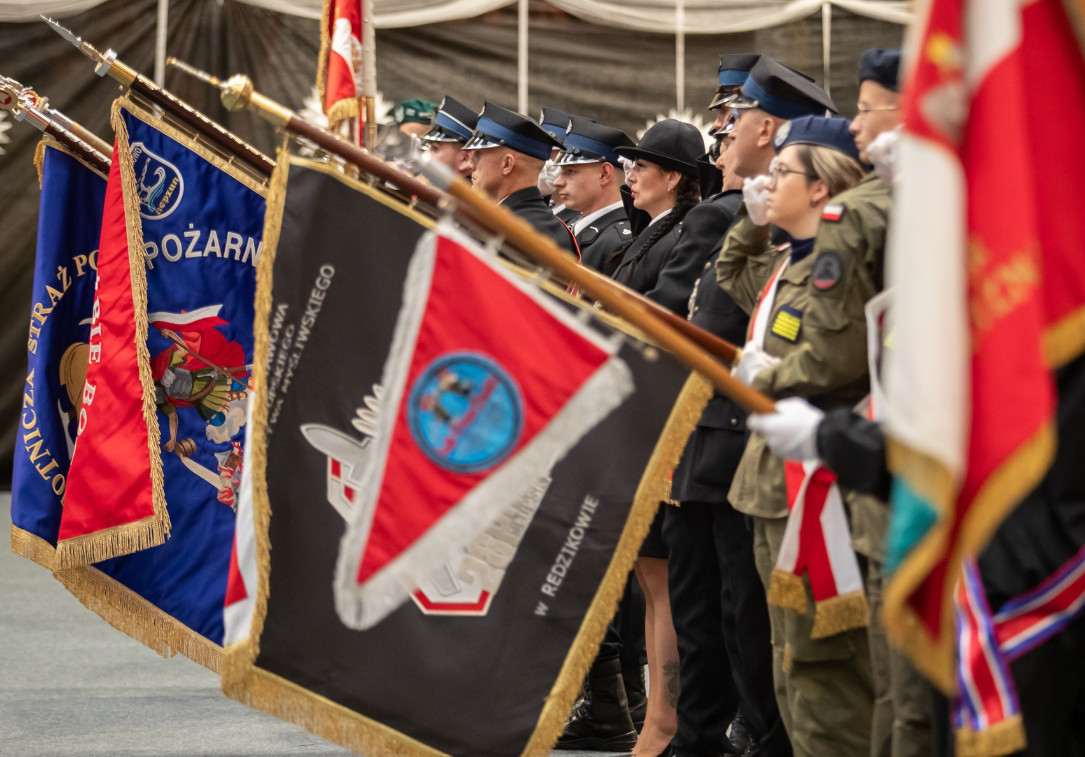 Zdjęcie: Fot. Tomasz Iwański Fotografia - Fotoblog/FB