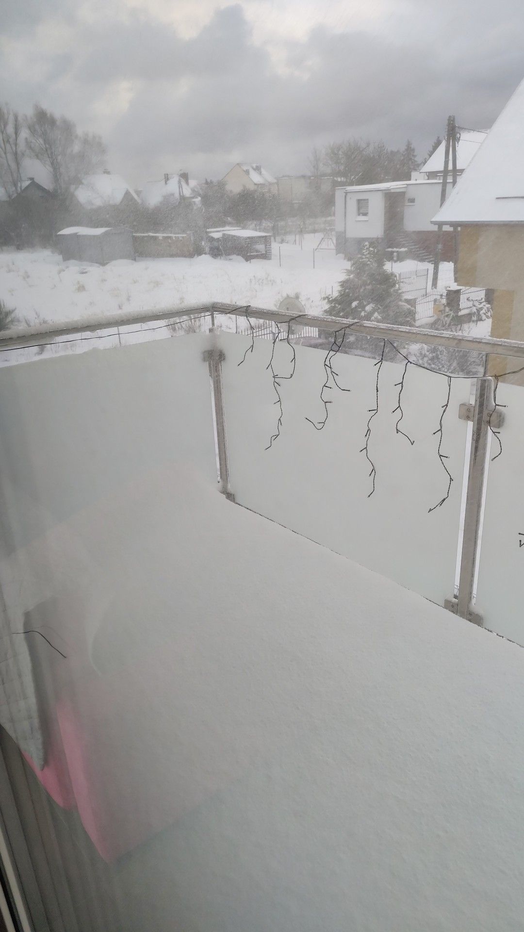 Zdjęcie: Sandra Wenta