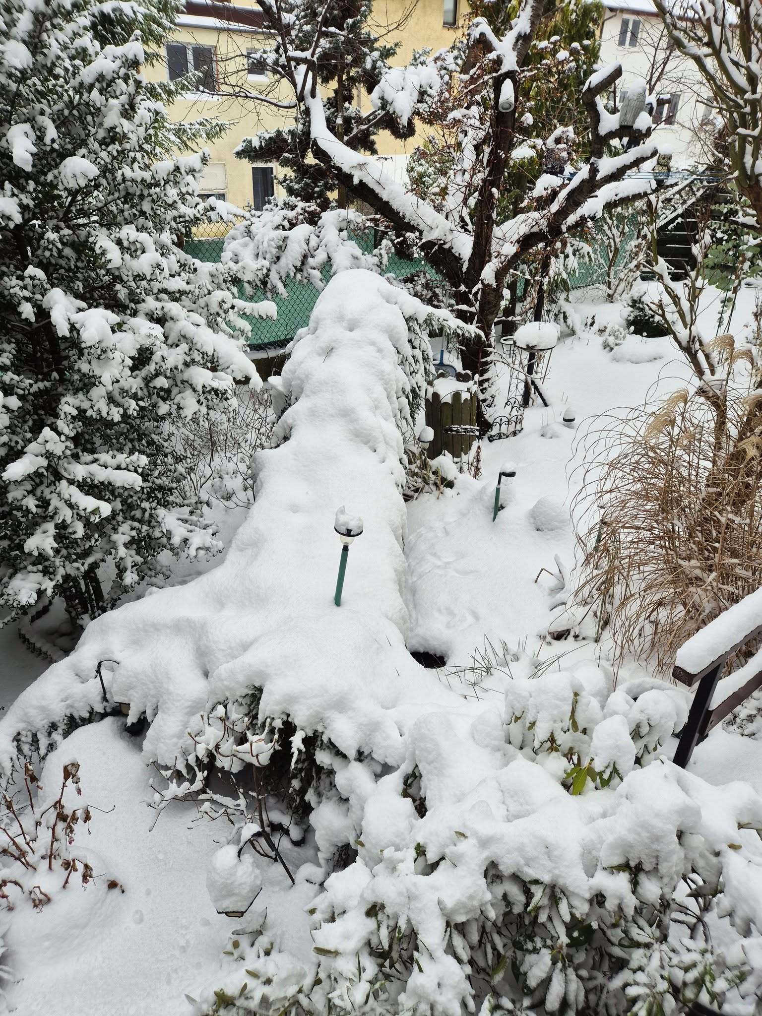 Zdjęcie: Grazyna Baldyga