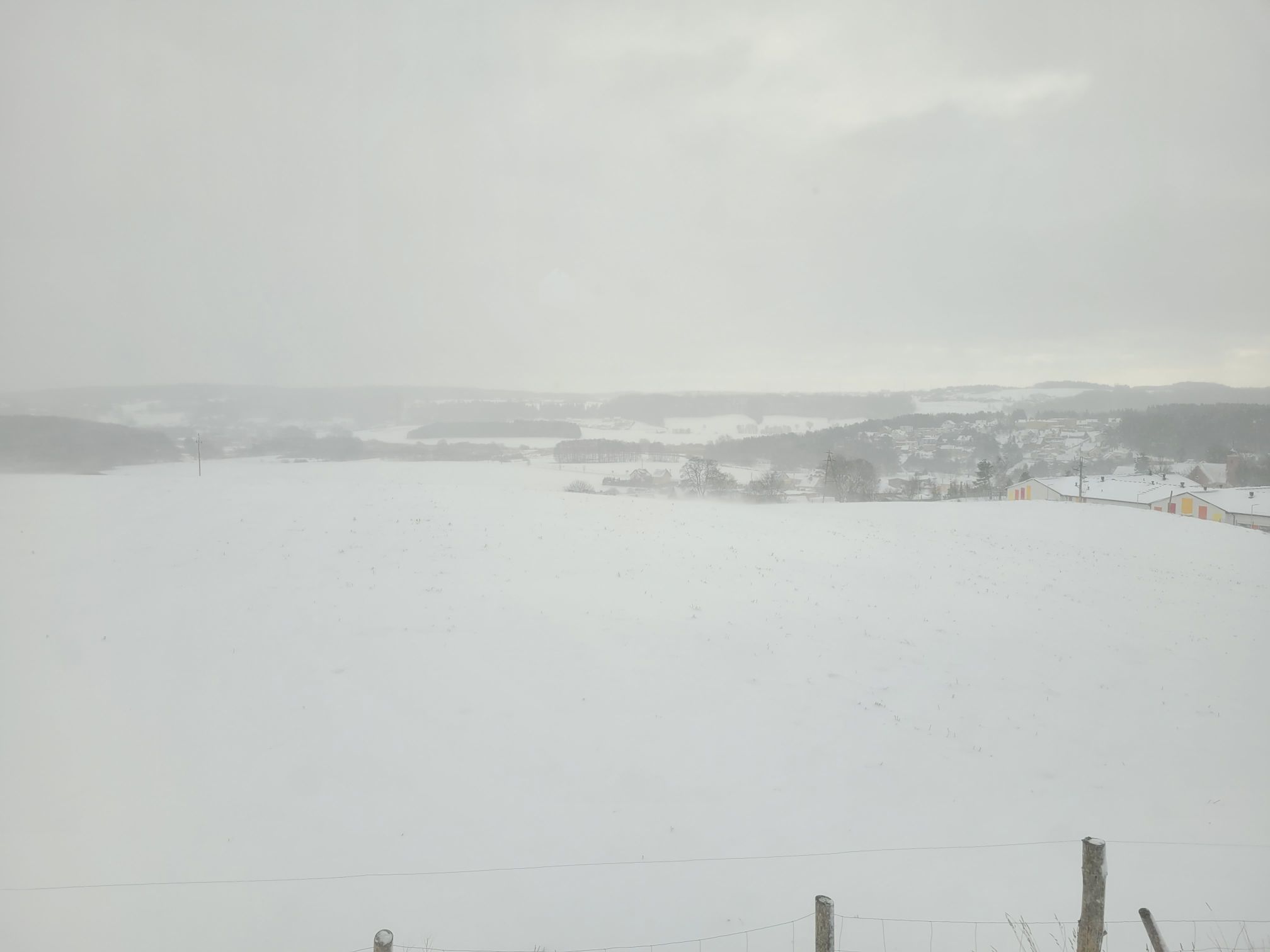 fot. Aleksandra Świerczyńska.jpg