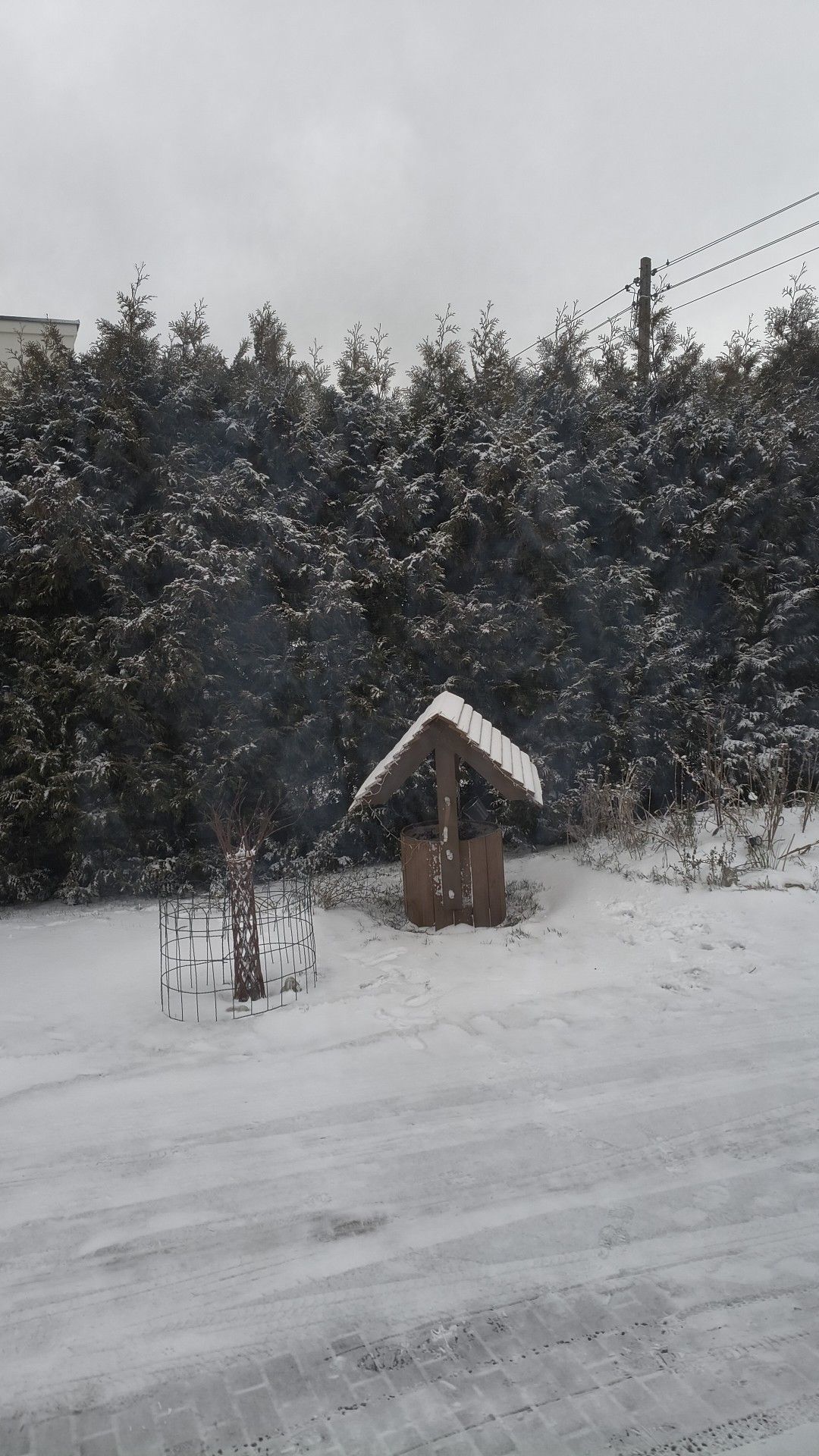 Połchowo fot. Janusz Kowalik.jpg