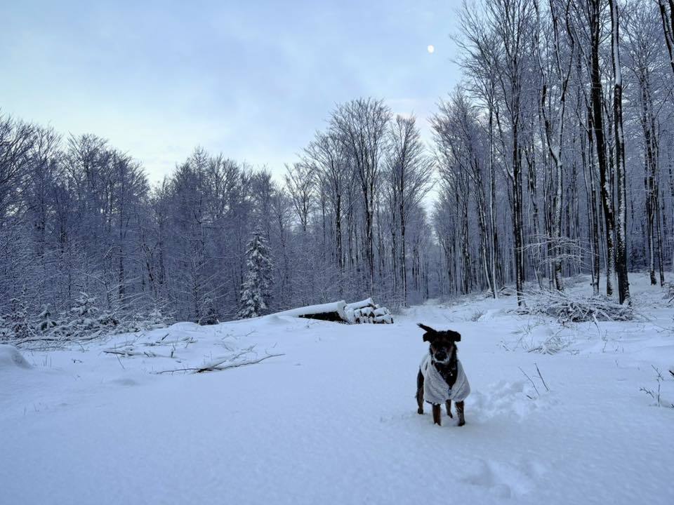 fot. Karolina Korthals.jpg