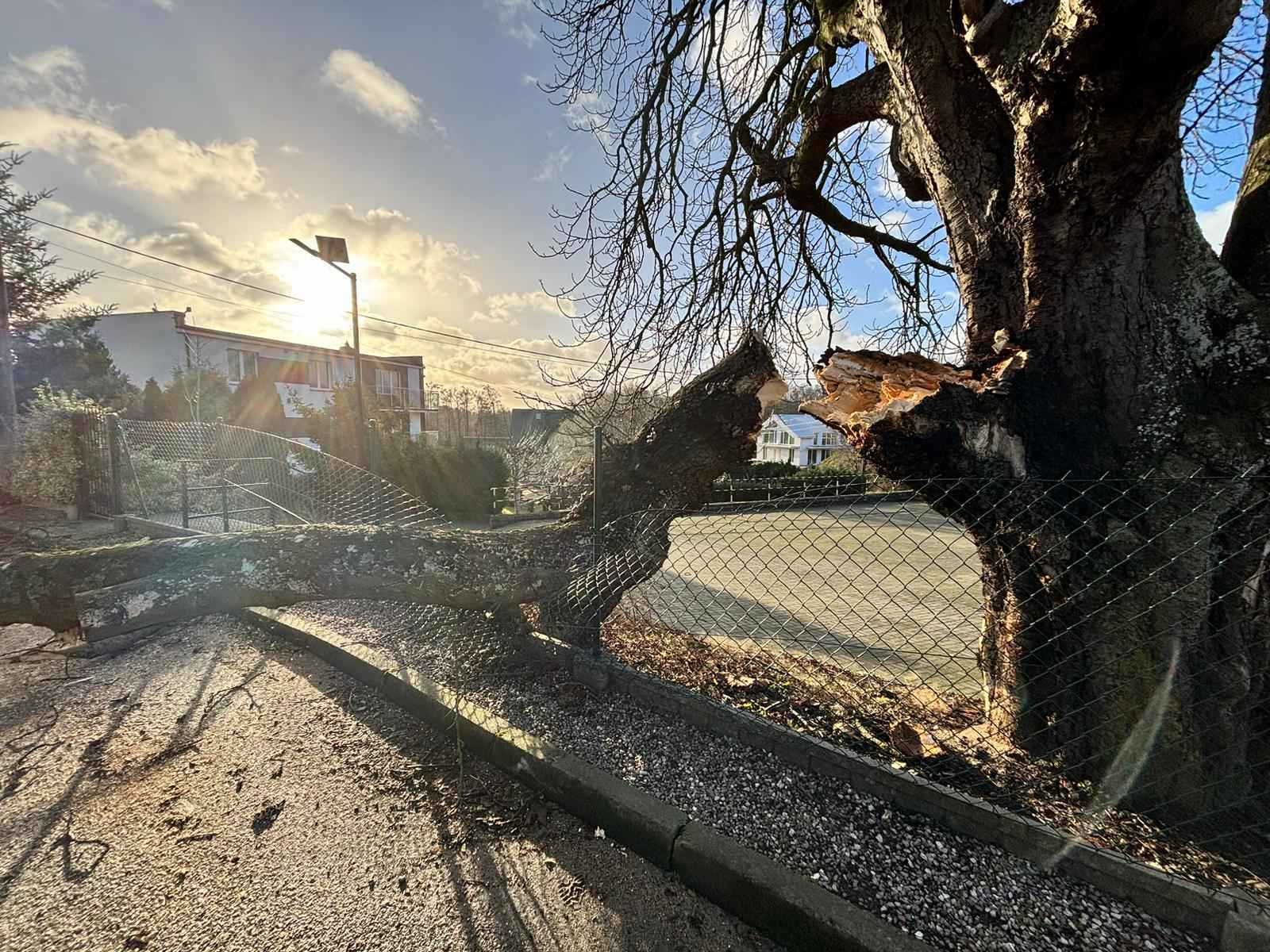 Foto: KP PSP Puck, OSP Jastrzębia Góra