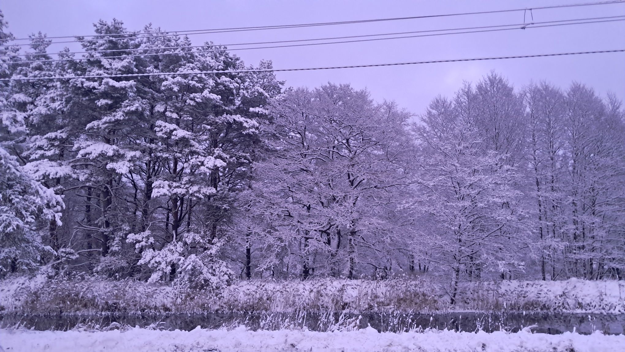 fot. Bożena Pikron.jpg