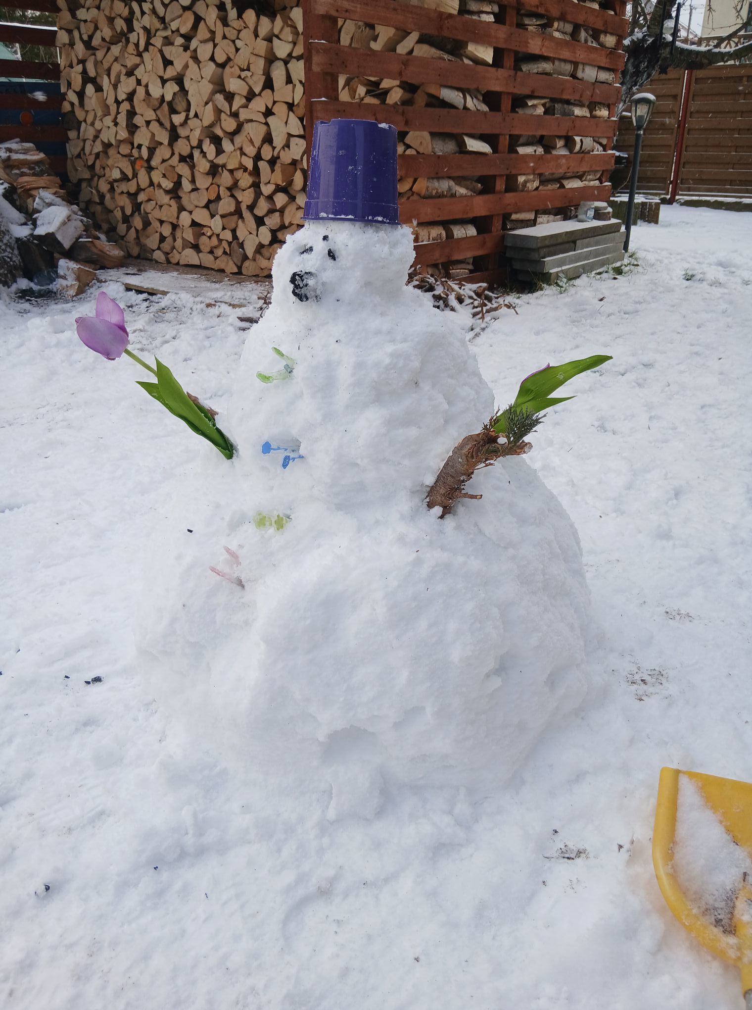 Nr 6/fot. Ania Paszke.jpg