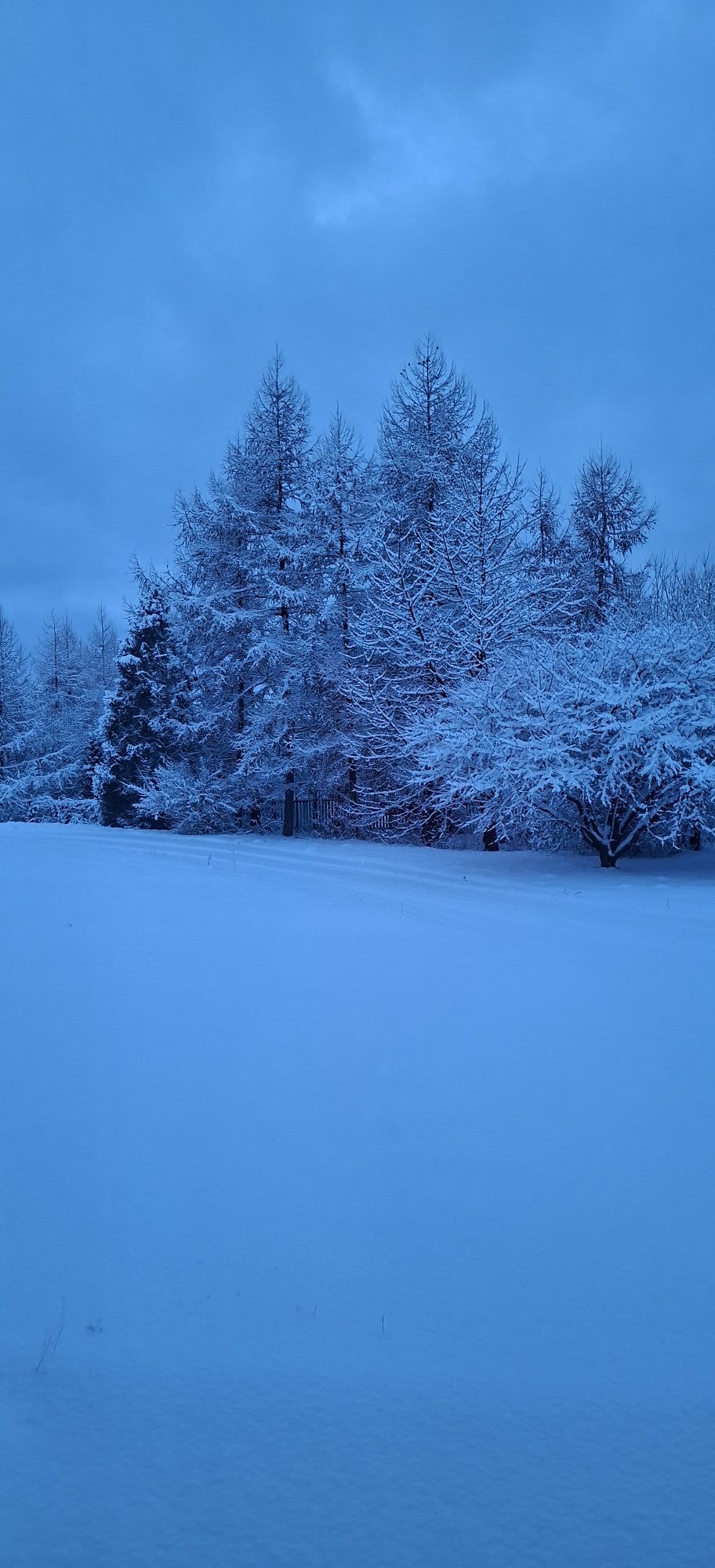 fot. Alina Dalecka.jpg