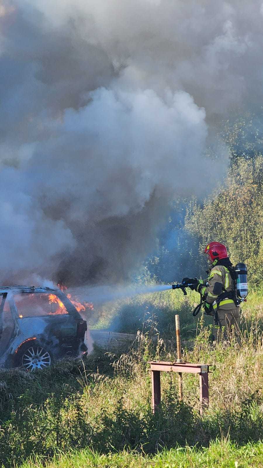 źródło: nadesłane przez czytelnika