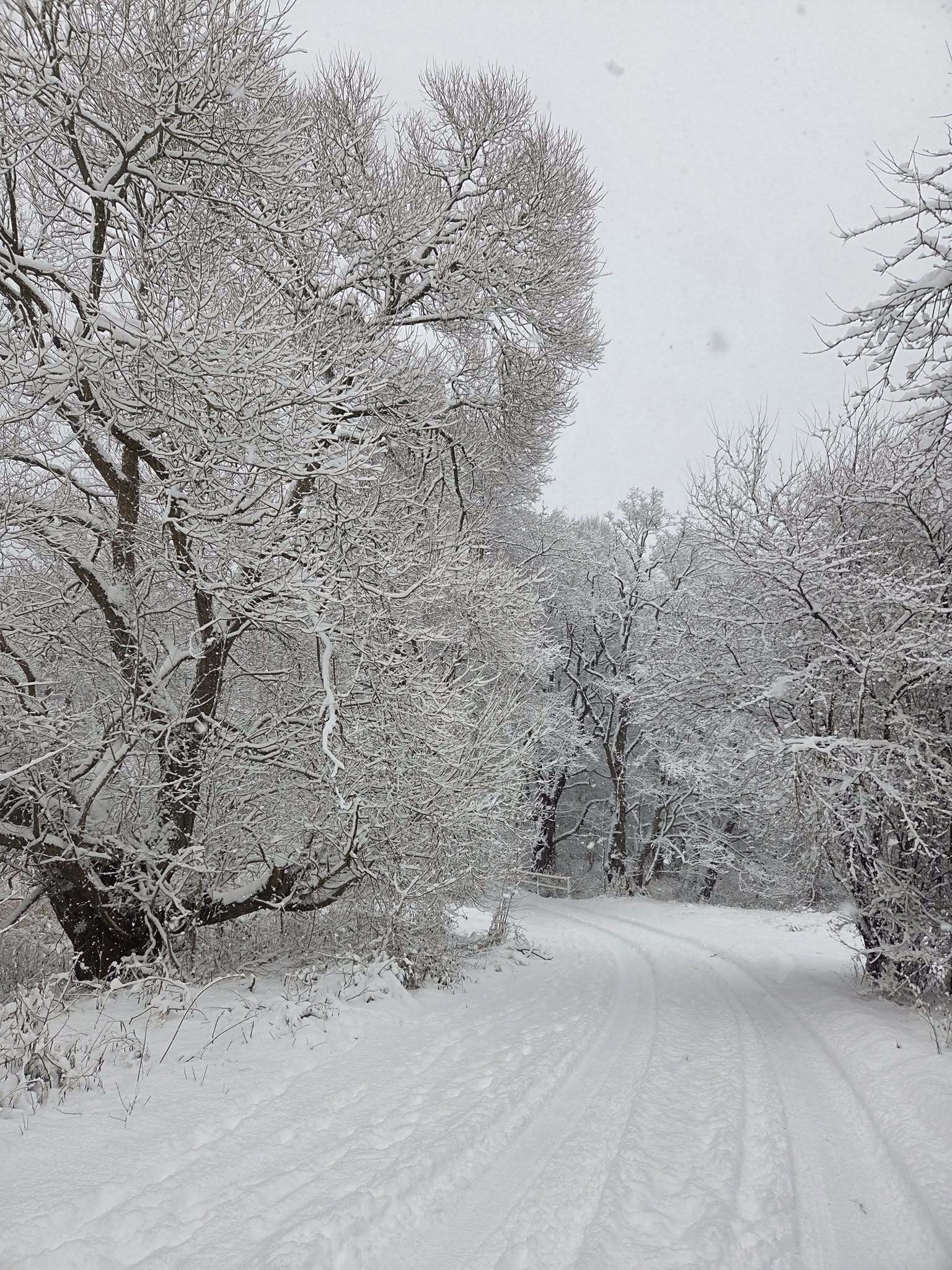 fot. Zdzisława Zielińska.jpg