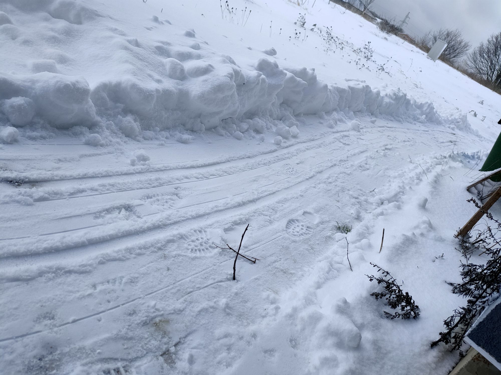 Zdjęcie: Karolina Guzik