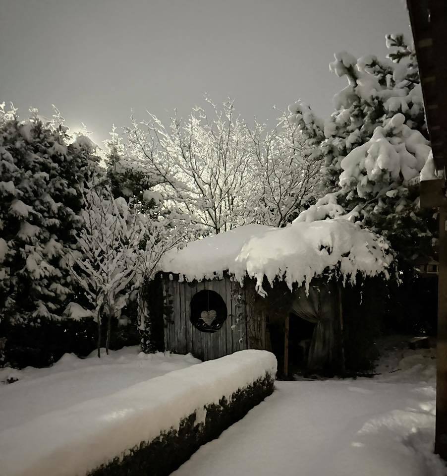 fot. Marzena Socha.jpg